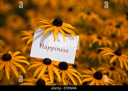 La parola felicità su carta in natura Foto Stock