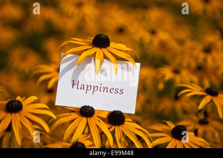 La parola felicità su carta in natura Foto Stock