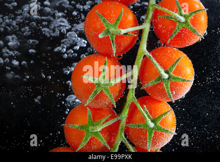 Pomodori freschi in acqua isolati su sfondo nero Foto Stock