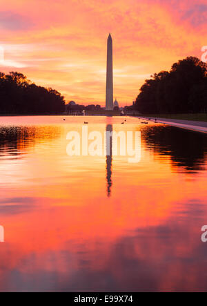 Brillante tramonto su stagno riflettente DC Foto Stock