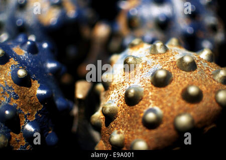 Testa di foratura Foto Stock