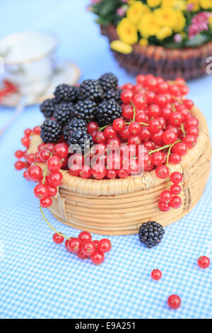 Una piastra con lamponi e ribes Foto Stock