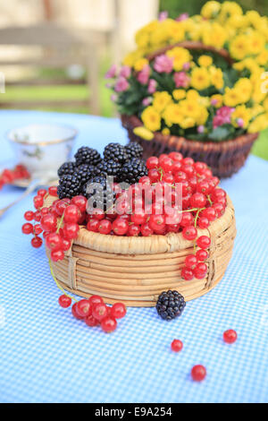 Una piastra con lamponi e ribes Foto Stock
