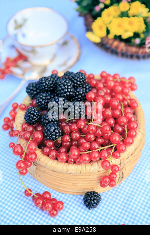 Una piastra con lamponi e ribes Foto Stock