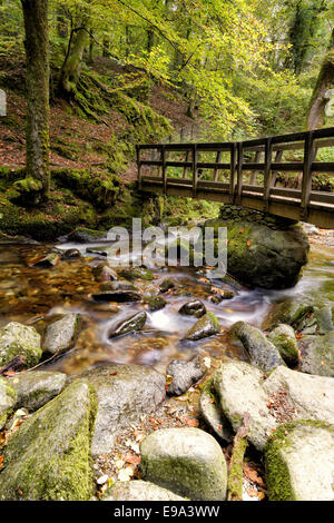 Il vecchio ponte di legno a forza stockghyll near ambleside nel distretto del lago, cumbria, Regno Unito Foto Stock