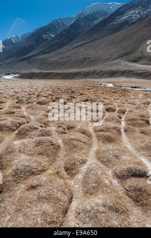 Paesaggio invernale sul Changthang, Ladakh Foto Stock