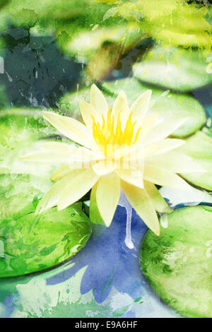 Acquerello bianco giglio di acqua su un laghetto Foto Stock