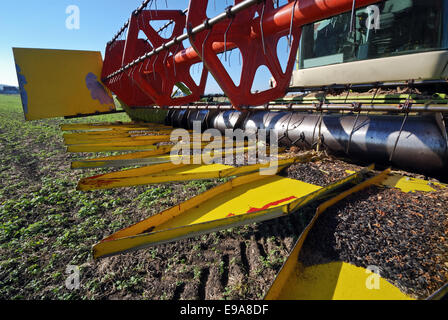 Barra di taglio di una macchina Foto Stock