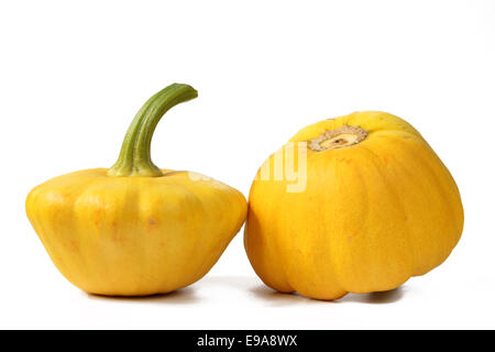 Giallo patty pan squash Foto Stock