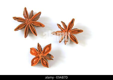 Anice stellato (Illicium verum) Foto Stock