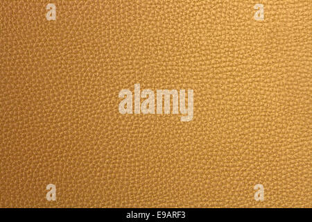 Finta pelle Foto Stock