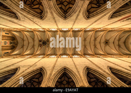 Soffitto, navata di Ulm Minster, Ulm, Baden-Württemberg, Germania Foto Stock