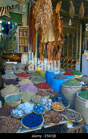 Negozio di spezie, Rahba Kedima Square, Place des Epices, Medina Marrakech, Marrakesh-Tensift-El Haouz regione, Marocco Foto Stock