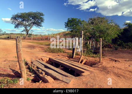 Ponte di primitive di una massa road, chapada diamantina, nello stato di Bahia, Brasile Foto Stock