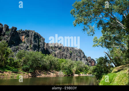 Windjana Gorge, Kimberley, Australia occidentale Foto Stock