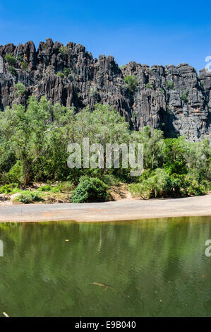 Windjana Gorge, Kimberley, Australia occidentale Foto Stock