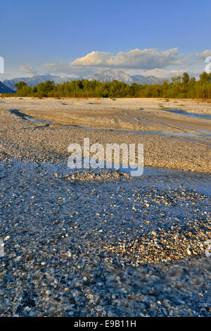 Tagliamento fiume intrecciato, Forgaria nel Friuli, Italia Foto Stock