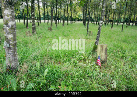 Nome tag di veterani americani in legno della pace Foto Stock