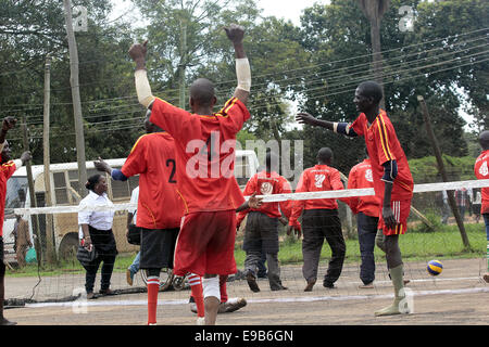 Kampala, Uganda. 23 ottobre, 2014. Le persone disabili prendere il tempo per giocare a pallavolo in seduta durante la Nazionale Sport Disabili Gala a Kampala in Uganda Credito: Sansone Opus/Alamy Live News Foto Stock