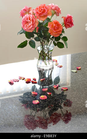 Le rose rosa in un vaso di vetro con petali diffusa riflessa in un granito lucido piano di lavoro Foto Stock