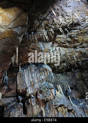 Stalattiti e stalagmiti all'interno di Poole's Cavern un calcare visualizza grotta in Buxton nel distretto di Peak Derbyshire England Regno Unito Foto Stock