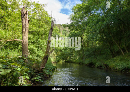 Fiume Wye in Miller Dale nel Derbyshire Dales, picco bianco, Parco Nazionale di Peak District, England, Regno Unito Foto Stock