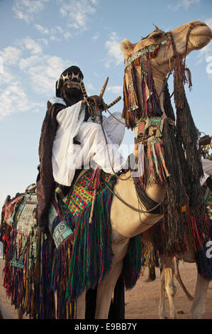 I nomadi Tuareg sui cammelli nel Niger, Africa occidentale Foto Stock