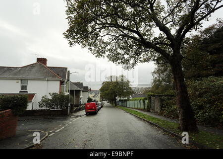 Unità Cwmdonkin, Swansea affacciato verso Mumbles Foto Stock