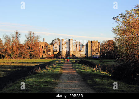 Cowdray rovina storico Tudor House a Midhurst, West Sussex, in Inghilterra, Regno Unito. Foto Stock