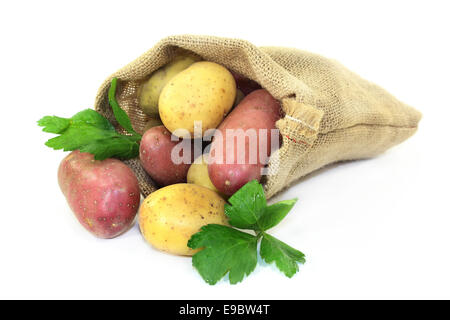 Materie di patate e prezzemolo in un sacco di iuta Foto Stock