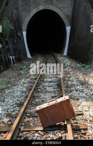 Vintage valigia su strada ferrata e tunnel. Foto Stock