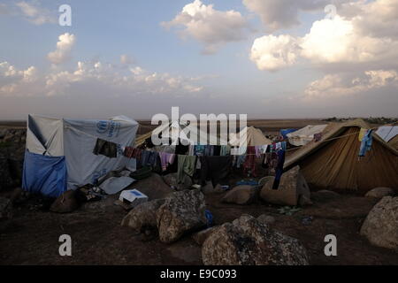 Un ricovero temporaneo tende in Nawroz Refugee Camp che è stata inizialmente istituita per shelter Aramei spostato dall'attuale siria guerra civile poi occupata dagli sfollati dalla minoranza setta Yazidi, che fuggono dalla violenza nella città irachena di Sinjar situato vicino alla città di al-Malikyah in Rojava autonoma curda, regione nord-orientale della Siria. Foto Stock