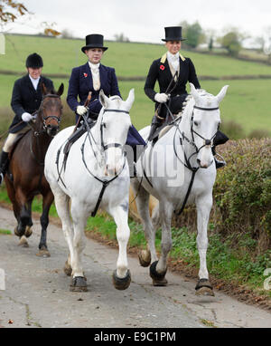 Leicestershire, Regno Unito. 24 ottobre, 2014. Lato piloti sella percorsa da tutto il Regno Unito e in Irlanda per l'inizio della caccia alla volpe stagione - Quorn Hunt apertura incontro presso il canile. Credito: Nico Morgan/Alamy Live News Foto Stock