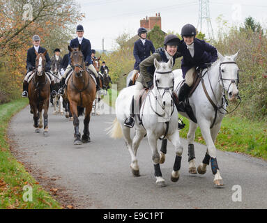 Leicestershire, Regno Unito. 24 ottobre, 2014. Ci sono stati molti giovani sostenitori per l'inizio della caccia alla volpe stagione - Quorn Hunt apertura incontro presso il canile. Credito: Nico Morgan/Alamy Live News Foto Stock