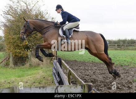 Leicestershire, Regno Unito. 24 ottobre, 2014. L'inizio della caccia alla volpe stagione - Quorn Hunt apertura incontro presso il canile. Credito: Nico Morgan/Alamy Live News Foto Stock