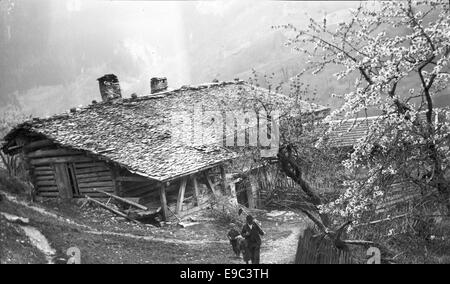 Un vile hous e tre di ciliegio in fiore Foto Stock