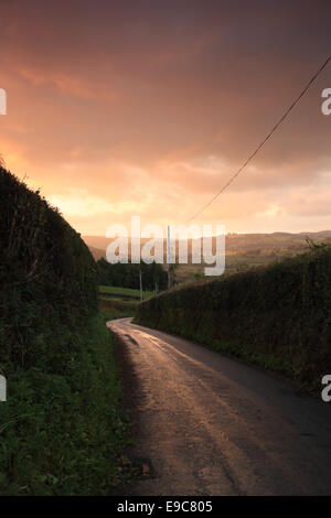 Welsh country lane in golden sera la luce solare Foto Stock