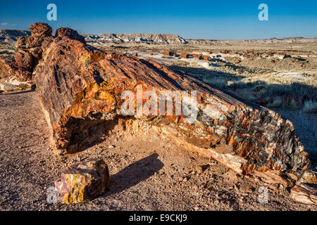 Legno pietrificato sui registri gigante Trail, Parco Nazionale della Foresta Pietrificata, Colorado Plateau, Arizona, Stati Uniti d'America Foto Stock