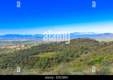 Verde pendio di montagna con frutteto di alberi di olivo con una gamma di montagna in background, con cime alte e basse nuvole pendenti Foto Stock