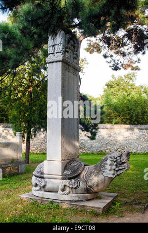 La tartaruga eseguire un monumento di pietra， quando qualcuno muore, la sua realizzazione sarà stampato sulla pietra . generalmente la parte principale del testo. Foto Stock