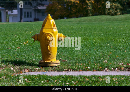 Di colore giallo brillante idrante di fuoco su un prato verde campo. Foto Stock