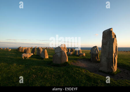Impostazione di pietra Ales Stenar, Schonen, Svezia, Europa Foto Stock