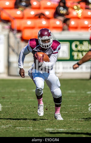 Ottobre 25, 2014 - Houston, Texas, Stati Uniti d'America: Texas Southern Tigers quarterback Homer Causey (4) avanza il calcio per un guadagno positivo durante un NCAA Football gioco tra la University of Arkansas a Pine Bluff Golden Lions e la Texas Southern Tigers di BBVA Compass Stadium, Houston, TX. Arkansas-Pine Bluff beat TSU 38-37 Foto Stock