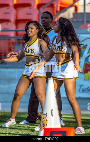 Ottobre 25, 2014 - Houston, Texas, Stati Uniti d'America: Arkansas Pine Bluff cheerleaders durante un NCAA Football gioco tra la University of Arkansas a Pine Bluff Golden Lions e la Texas Southern Tigers di BBVA Compass Stadium, Houston, TX. Arkansas-Pine Bluff beat TSU 38-37 Foto Stock