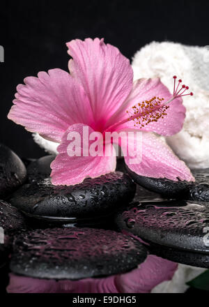 Il concetto di assistenza sanitaria di ibisco rosa con gocce di bianco e di asciugamani impilati su zen pietre in acqua di riflessione Foto Stock