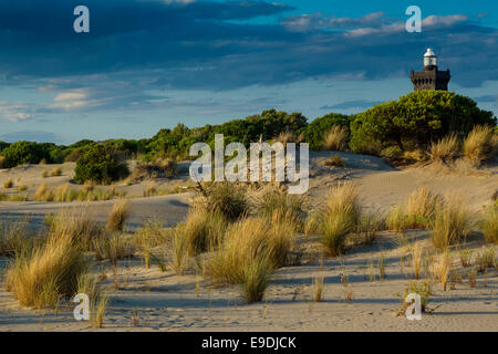 Il faro a L'Espiguette, Le Grau Du Roi, Gard, Languedoc Roussillon, Francia Foto Stock