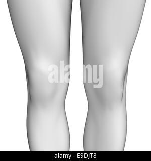 Illustrazione di anatomia del ginocchio artwork Foto Stock