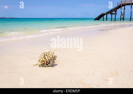 Una bella vista del mare di Zanzibar,Tanzania.oceano indiano. Foto Stock