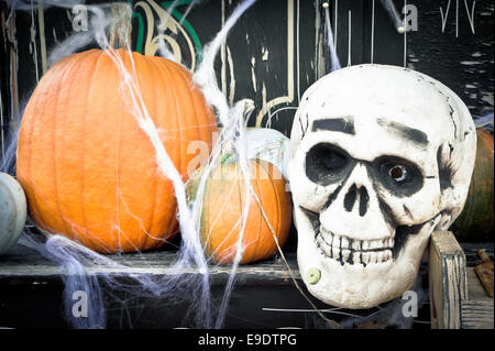 Display di zucca con un teschio, per Halloween Foto Stock