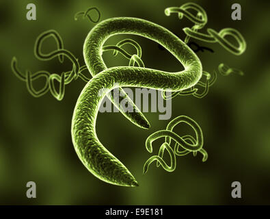 Alta dettagliate in 3D render del virus Ebola cellule Foto Stock